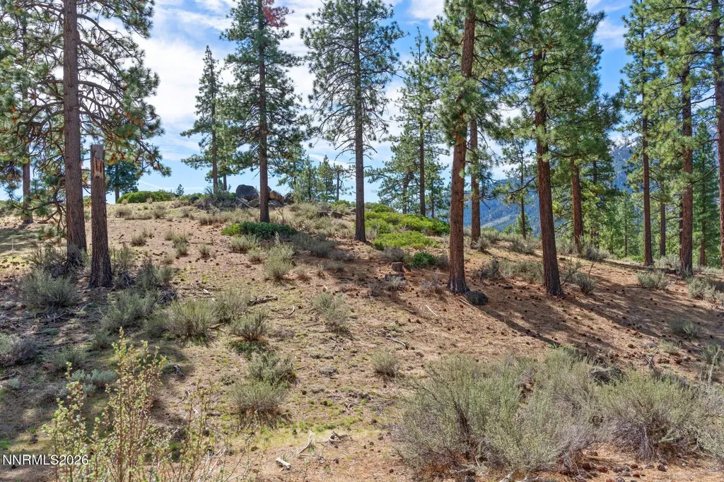 3406 Golf Club Carson City NV 89705