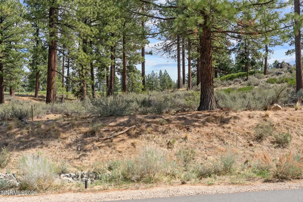 3406 Golf Club Carson City NV 89705