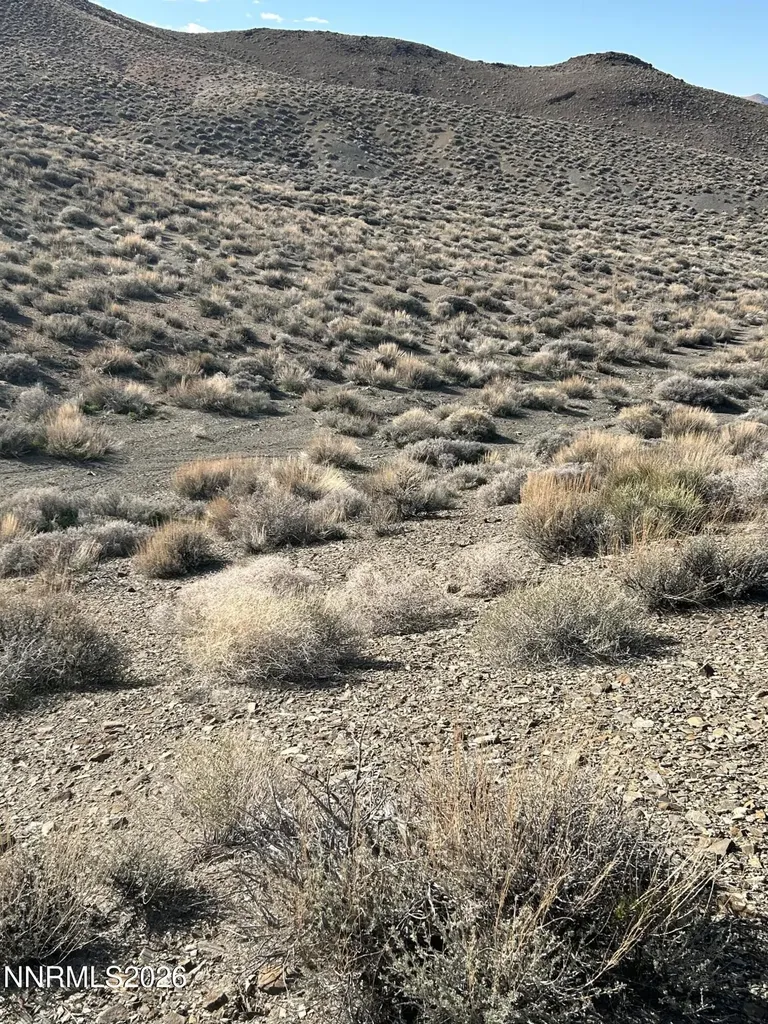 015-521-08 Parcel Silver Springs NV 89429