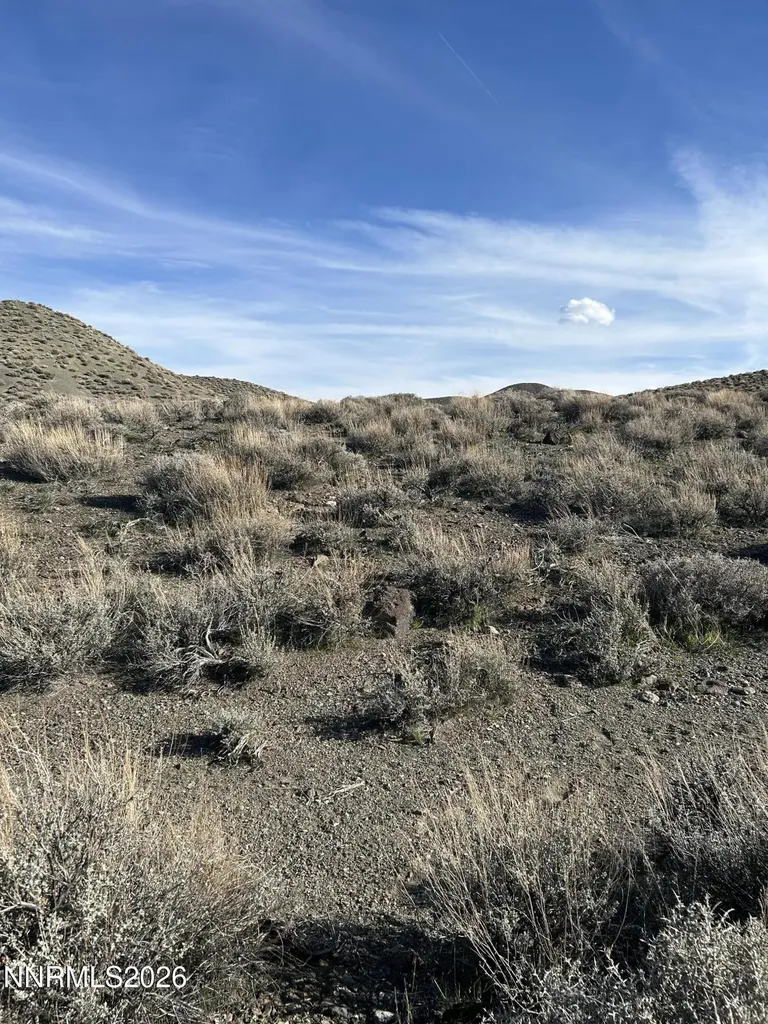015-521-08 Parcel Silver Springs NV 89429