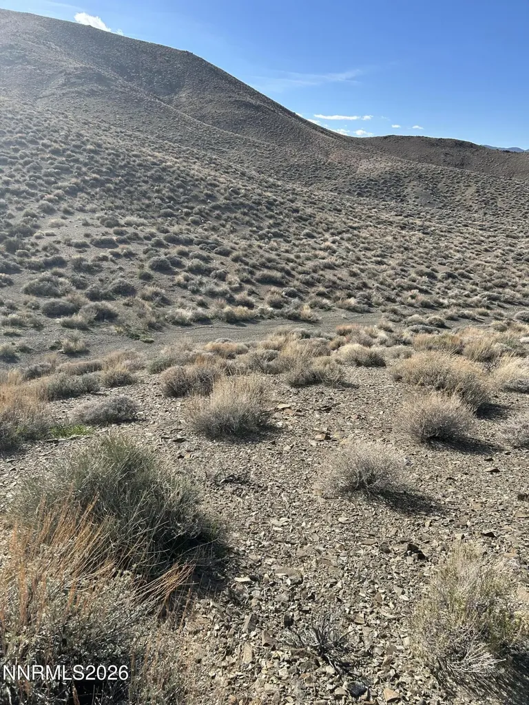 015-521-08 Parcel Silver Springs NV 89429