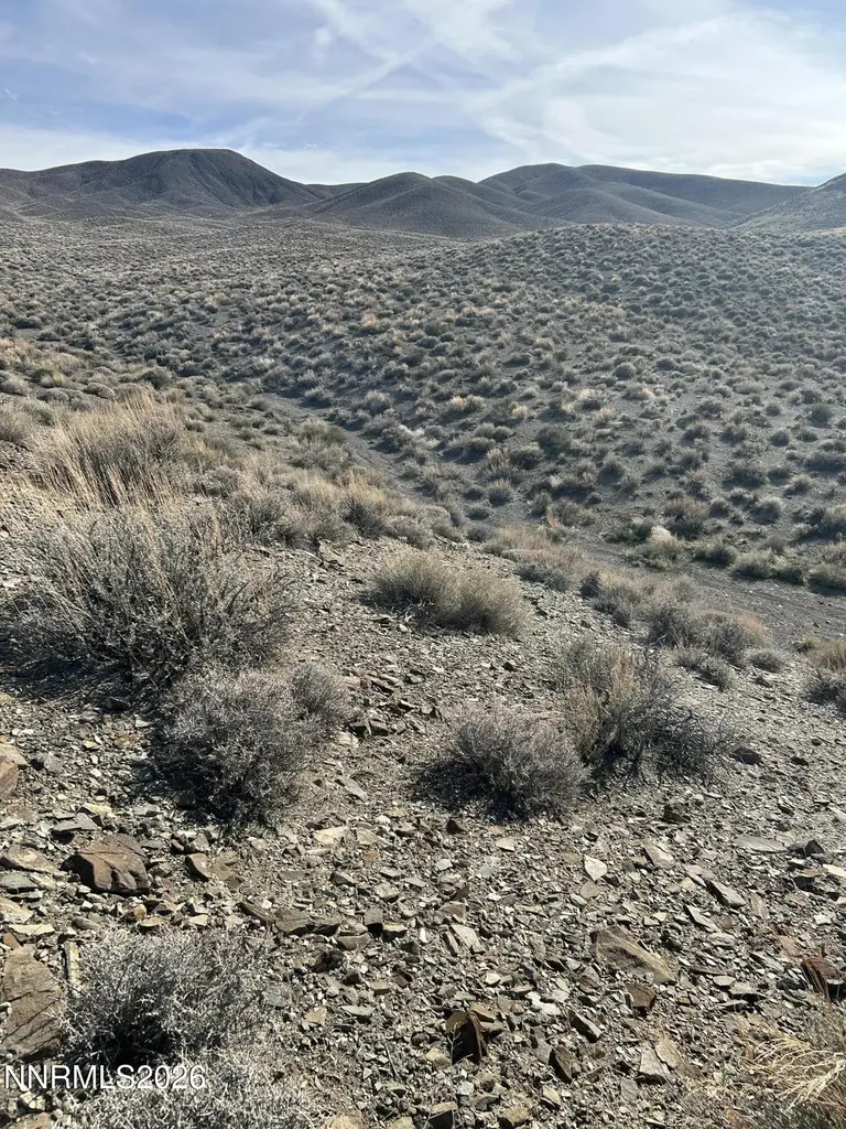 015-521-08 Parcel Silver Springs NV 89429