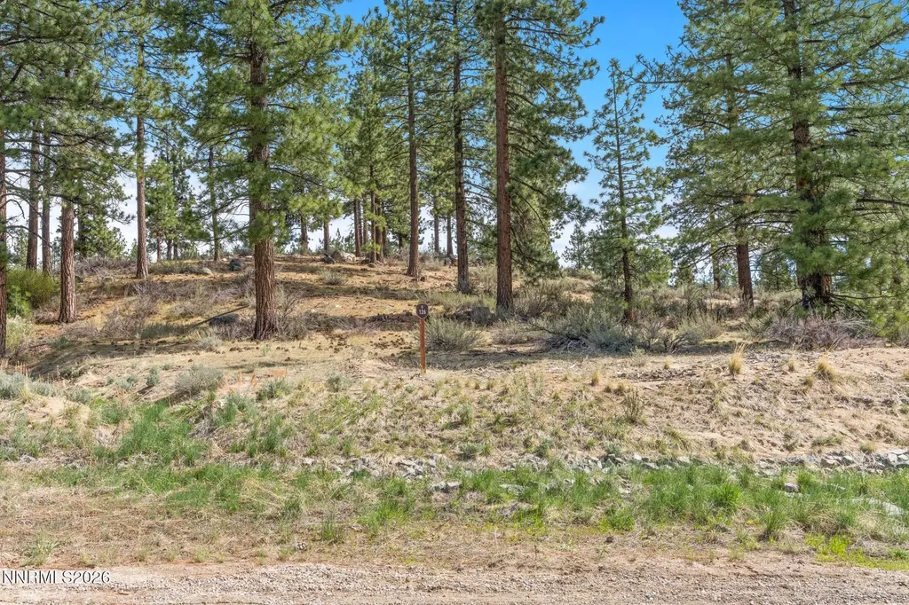 3398 Golf Club Carson City NV 89705