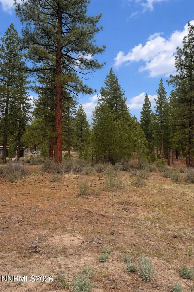 40 Boulders Bend Carson City NV 89705