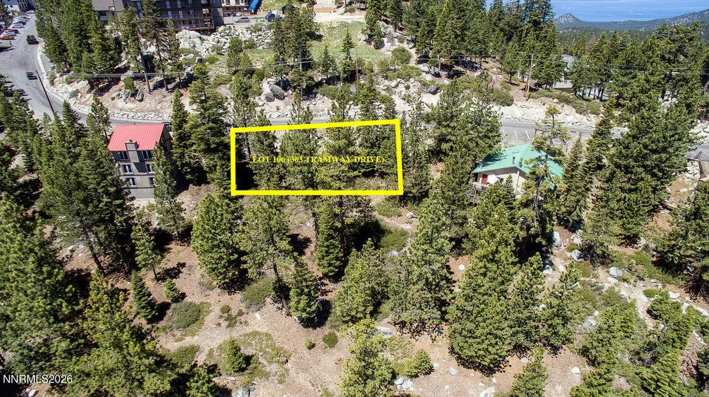 363 Tramway Stateline NV 89449