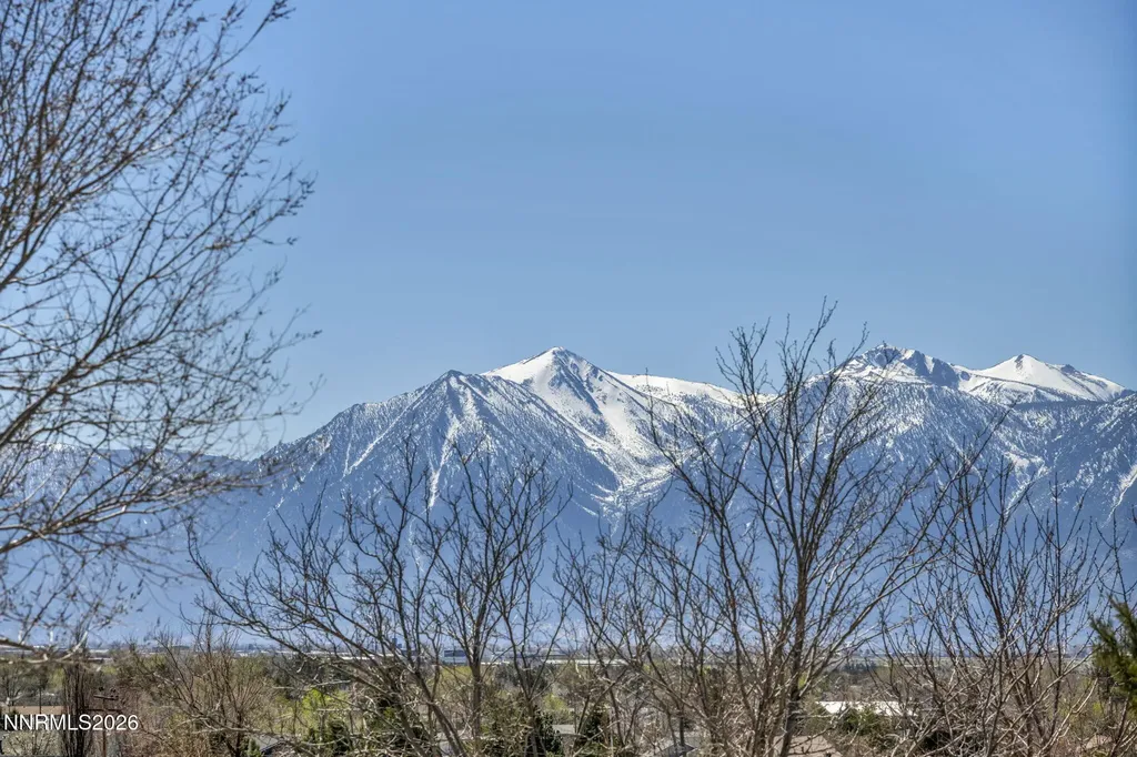 1374 Porter Minden NV 89423