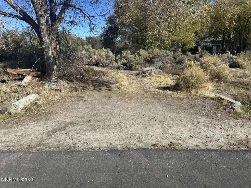 2387 Sneddon Carson City NV 89706