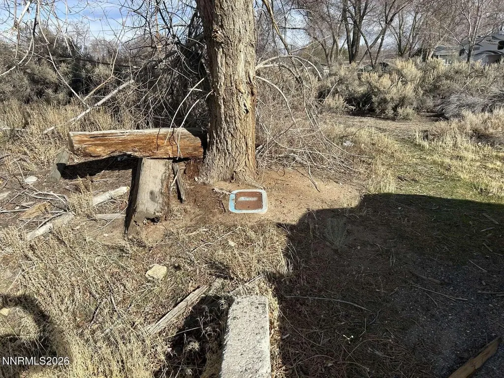 2387 Sneddon Carson City NV 89706