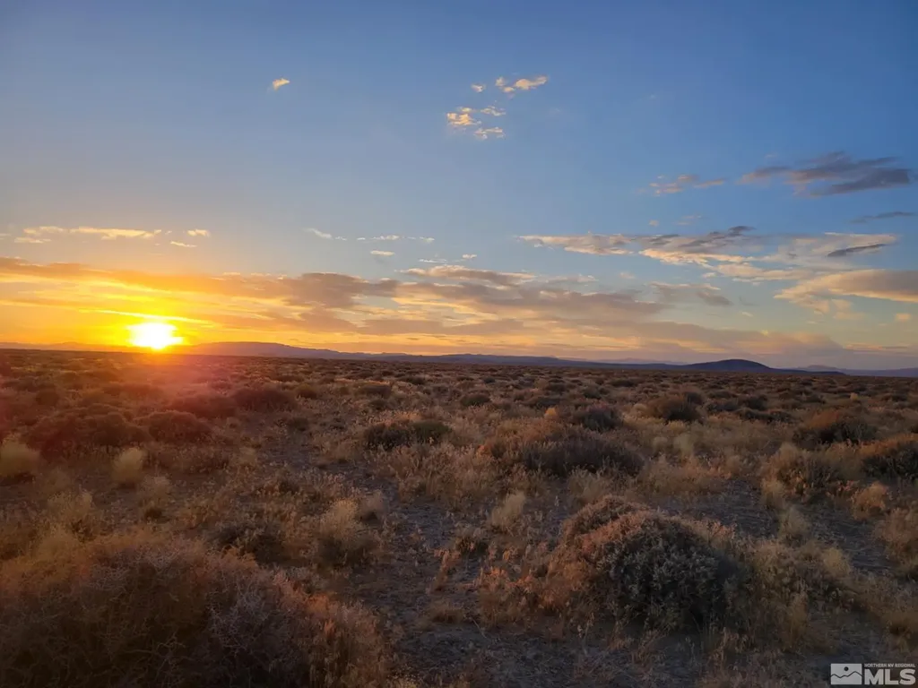 12017 Power Line Fallon NV 89406