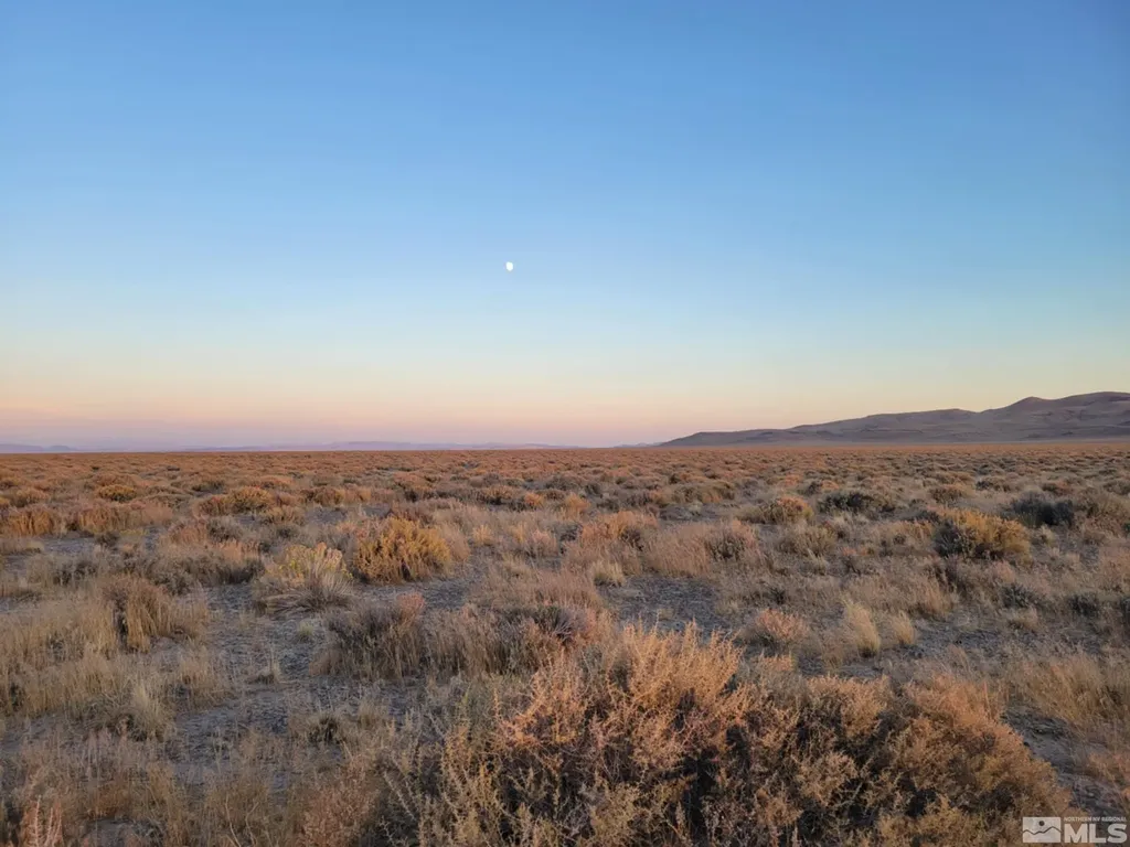 12017 Power Line Fallon NV 89406