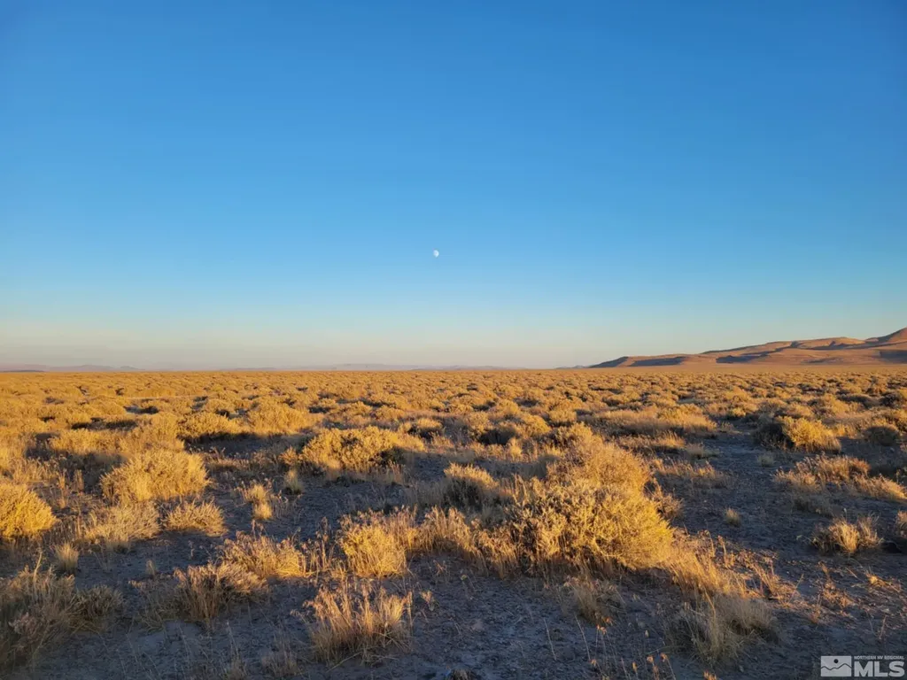 12017 Power Line Fallon NV 89406