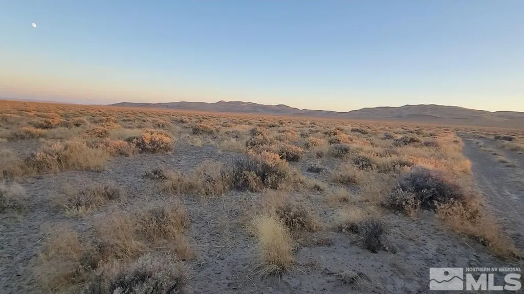 12017 Power Line Fallon NV 89406
