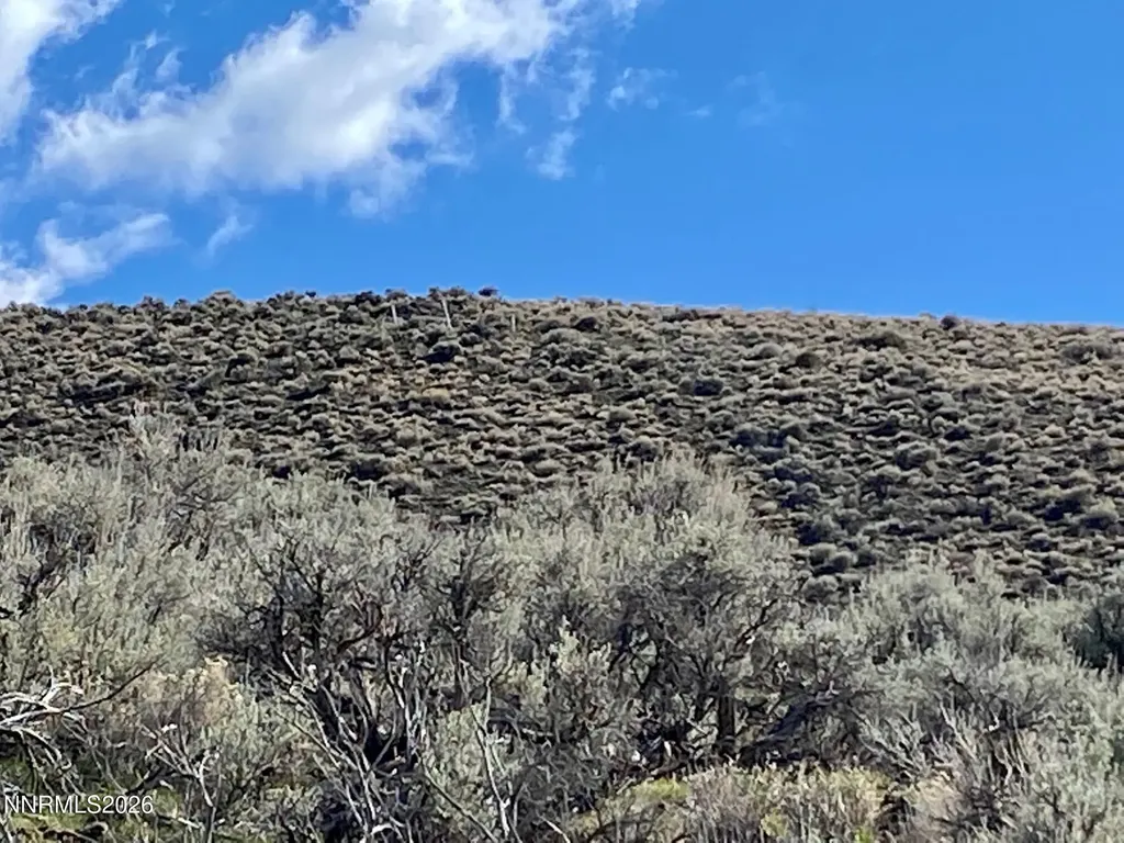 11300 Tempest Lovelock NV 89419