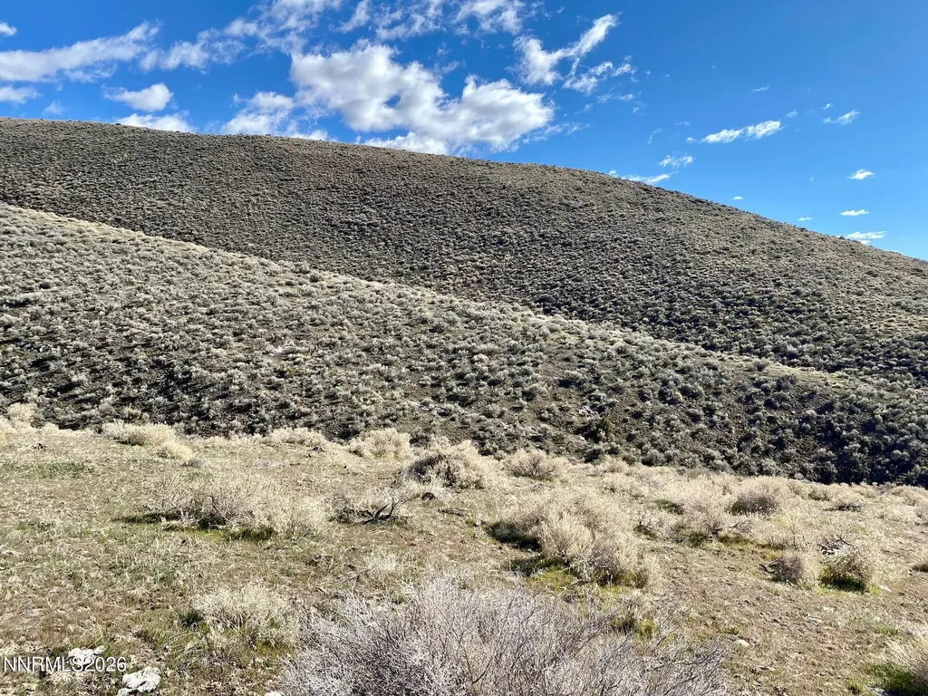11300 Tempest Lovelock NV 89419