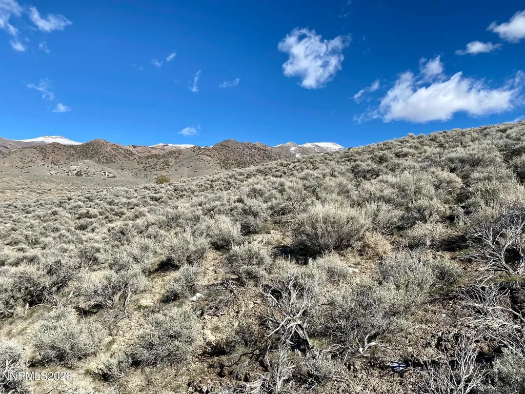 11300 Tempest Lovelock NV 89419
