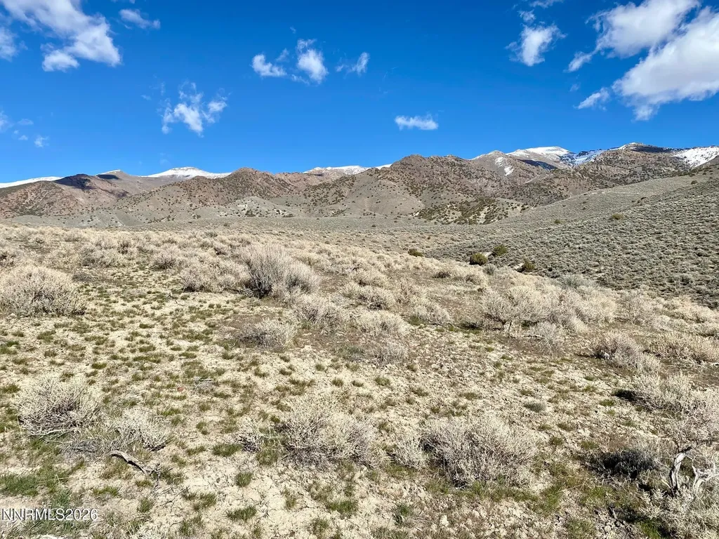 11300 Tempest Lovelock NV 89419