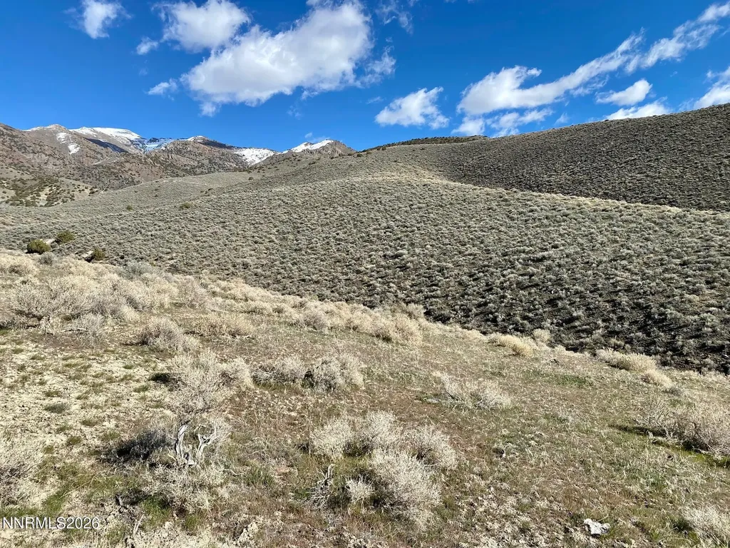 11300 Tempest Lovelock NV 89419
