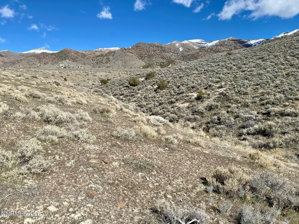 11300 Tempest Lovelock NV 89419