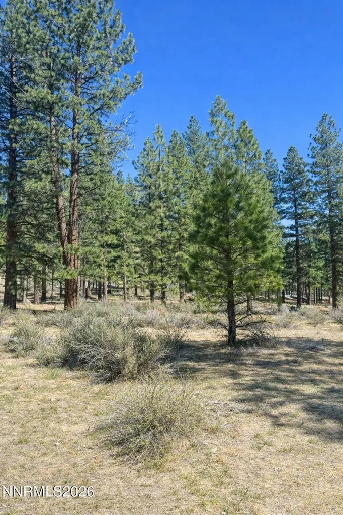 3568 Knob Point Carson City NV 89705