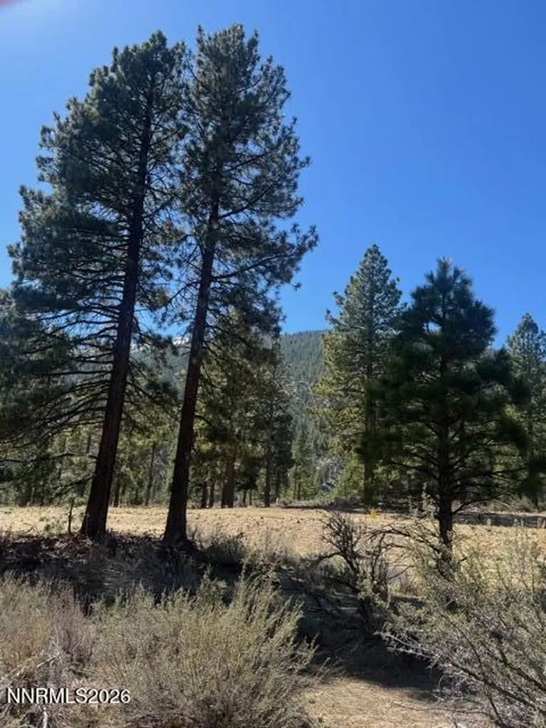 3568 Knob Point Carson City NV 89705