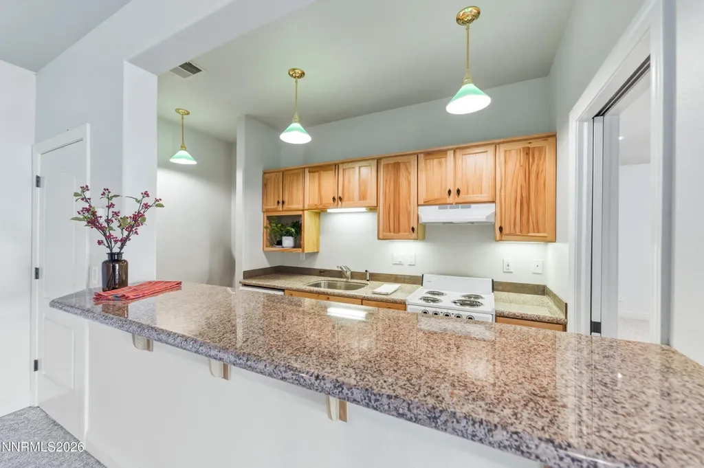 7450 Bryan Canyon Washoe Valley NV 89704