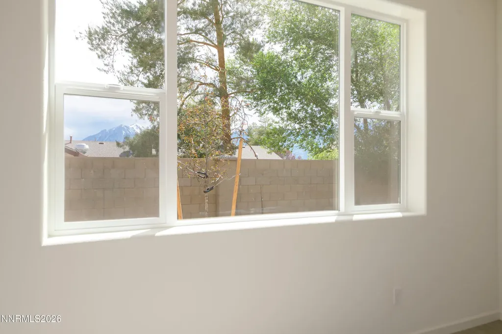 867 Furlong Minden NV 89423