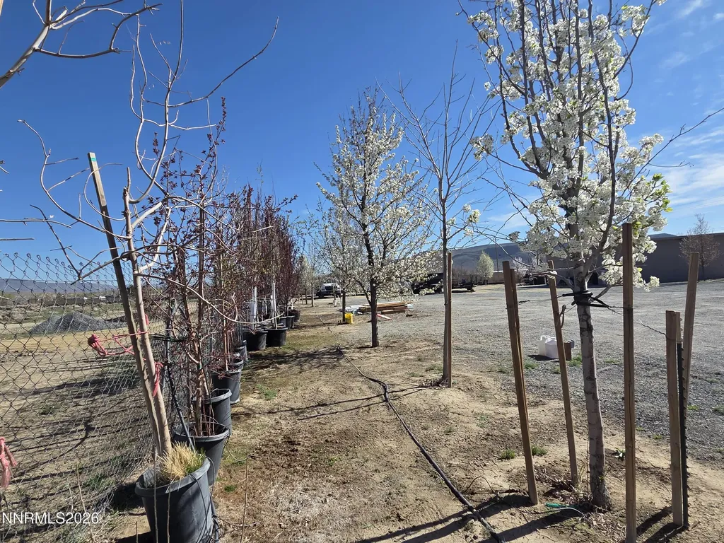 6012 Us-50 Dayton NV 89403