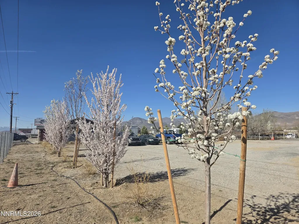 6012 Us-50 Dayton NV 89403