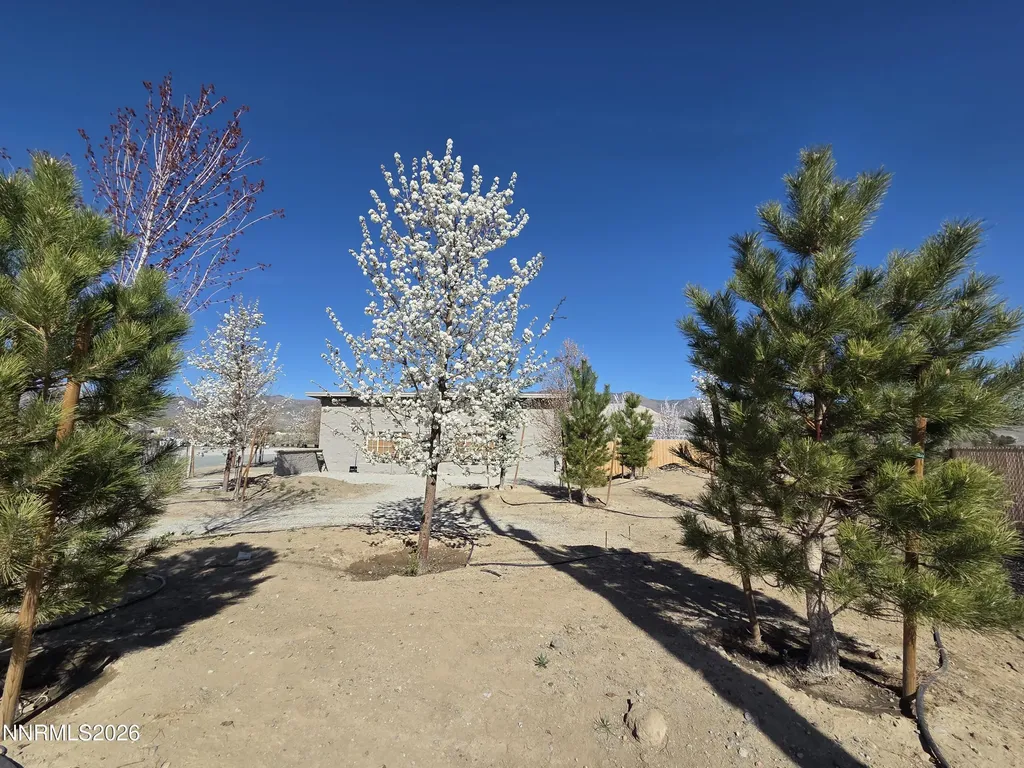 6012 Us-50 Dayton NV 89403