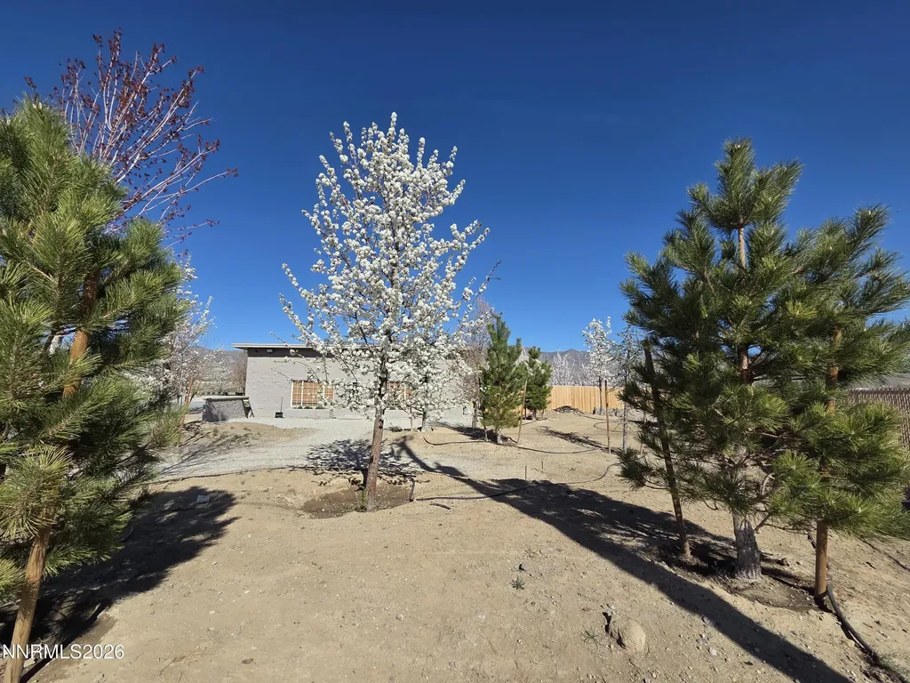 6012 Us-50 Dayton NV 89403