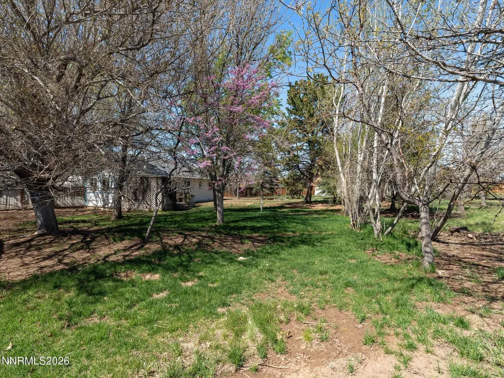 35 Mclemore Sparks NV 89441