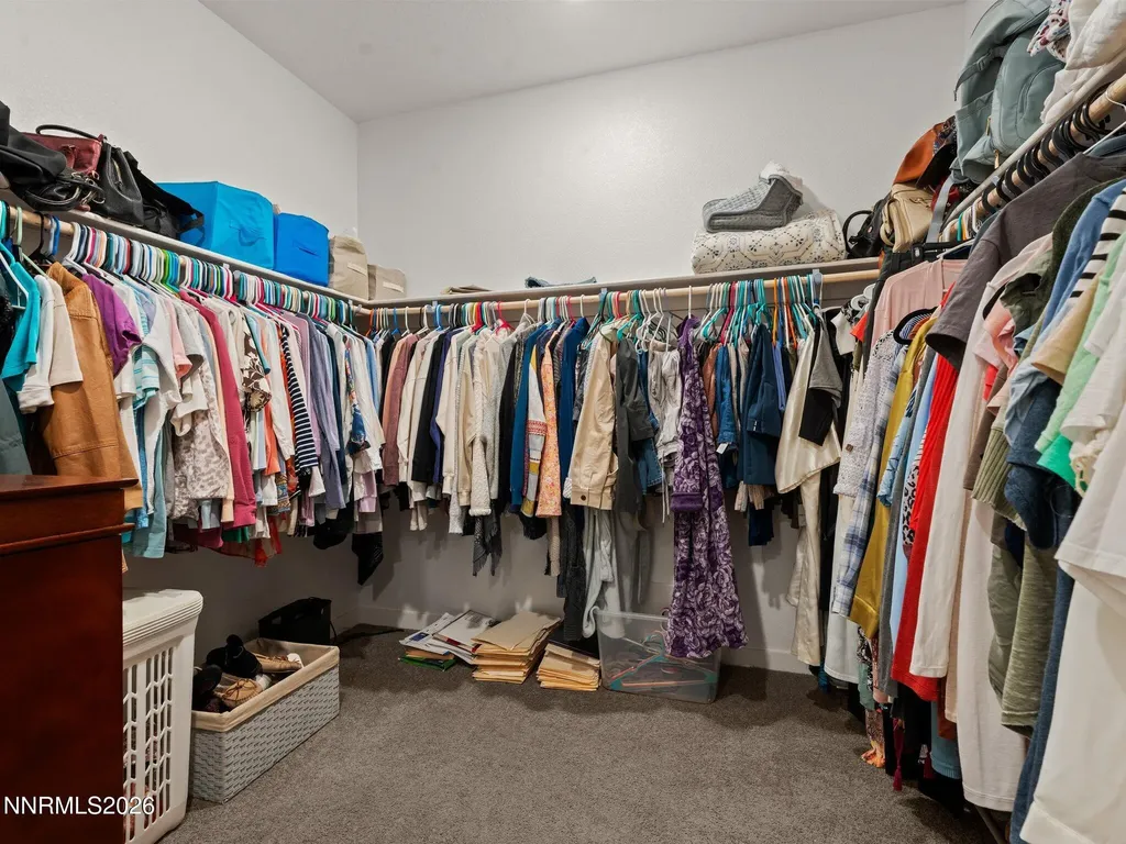 305 Mountain Spring Dayton NV 89403