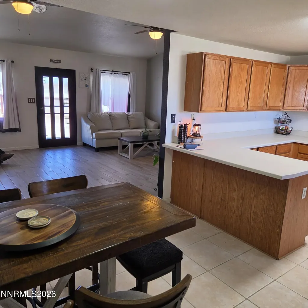 1080 Tarzyn Fallon NV 89406