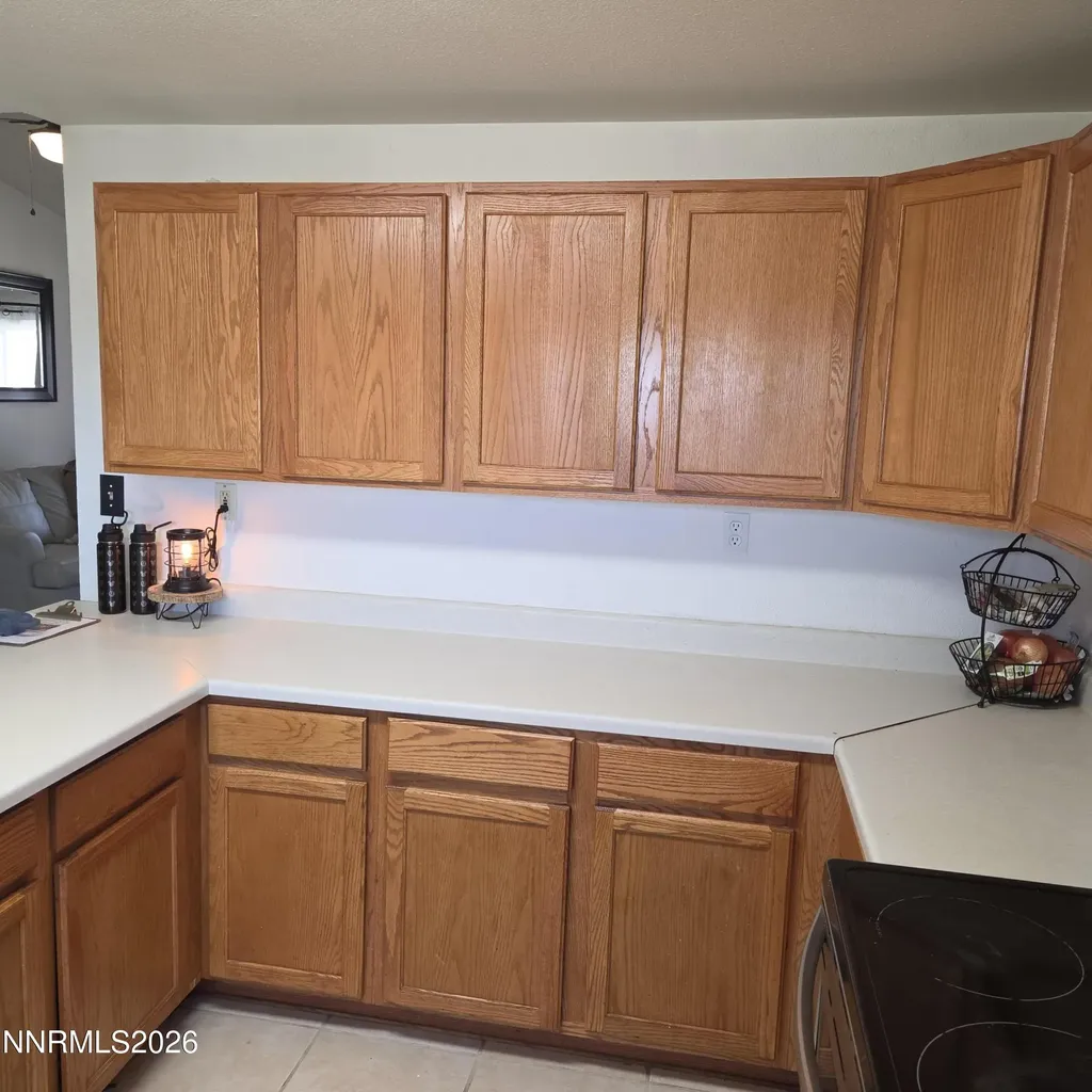 1080 Tarzyn Fallon NV 89406