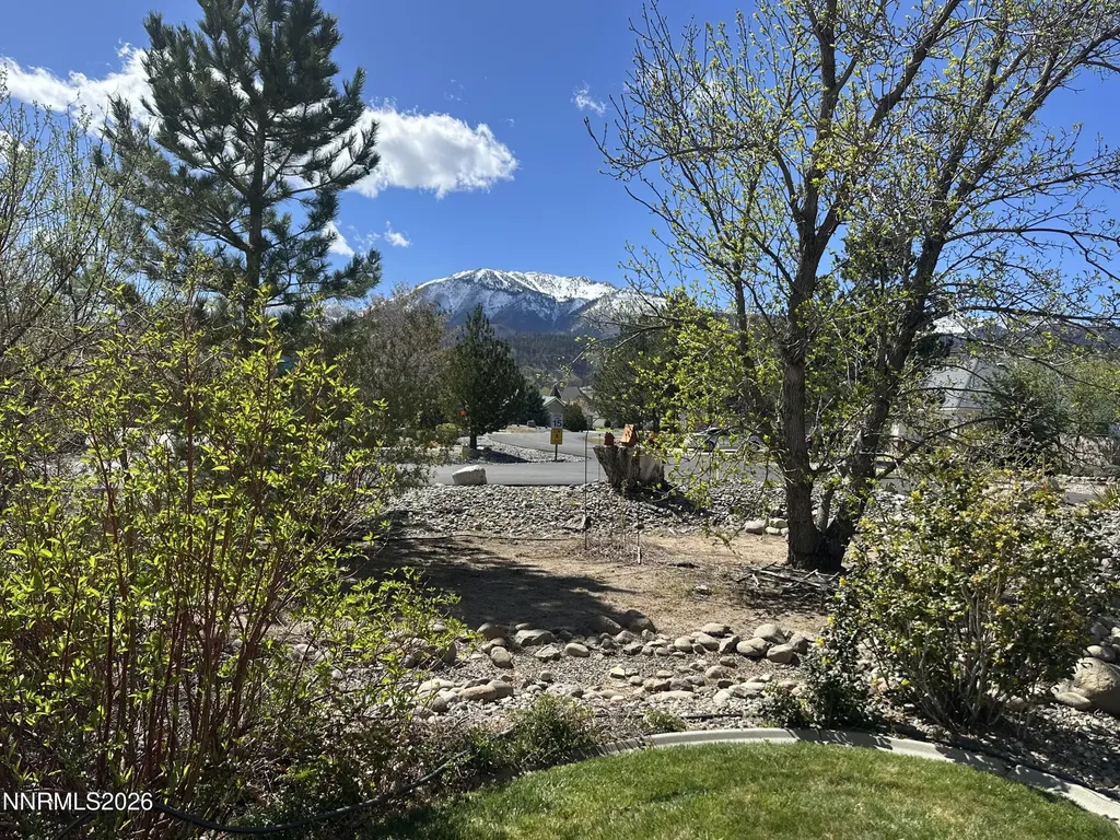350 Old Washoe Washoe Valley NV 89704