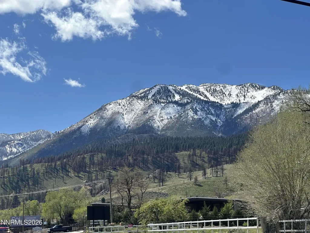 350 Old Washoe Washoe Valley NV 89704