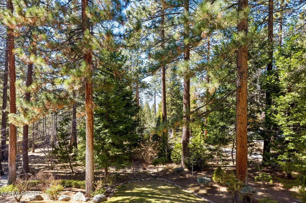 15 Kelly Glenbrook NV 89413