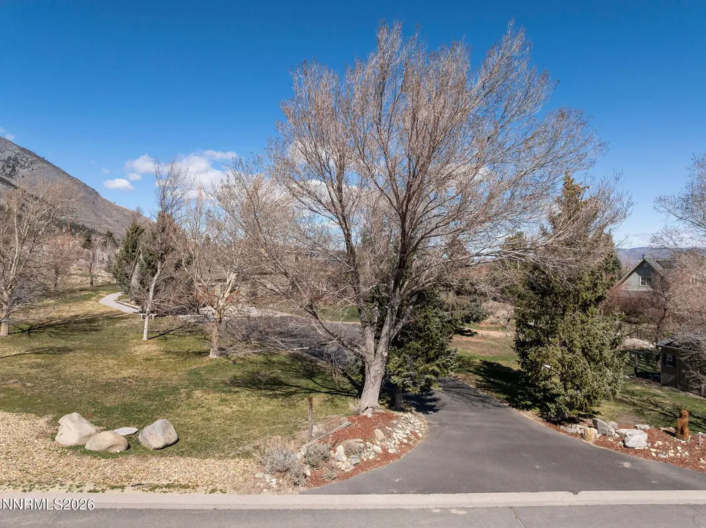 220 Limousin Genoa NV 89411