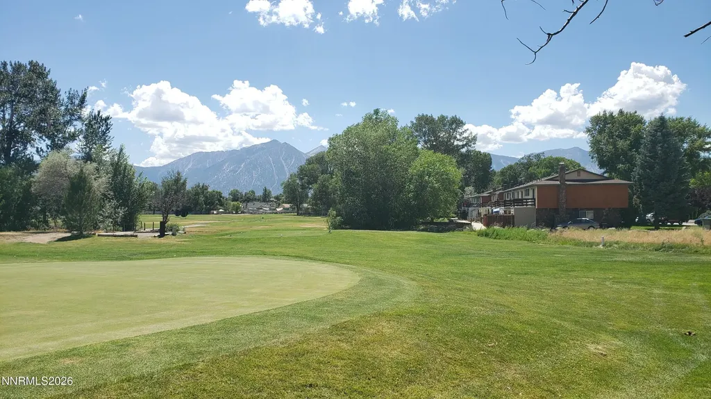 1051 Riverview Gardnerville NV 89460