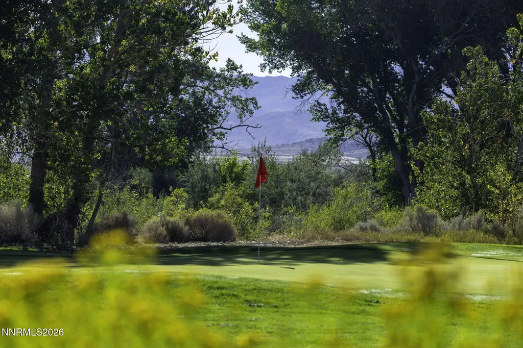 1051 Riverview Gardnerville NV 89460
