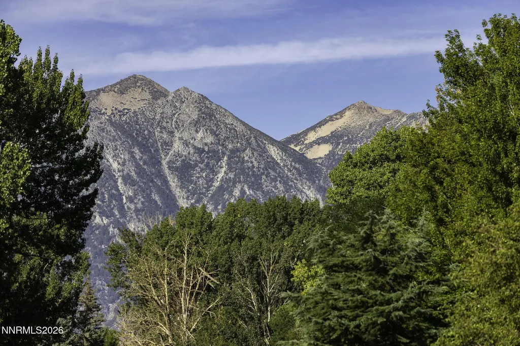 1051 Riverview Gardnerville NV 89460