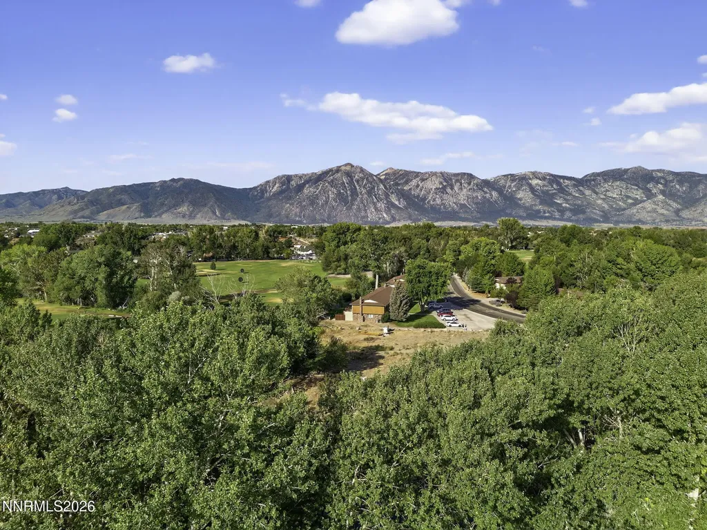 1051 Riverview Gardnerville NV 89460