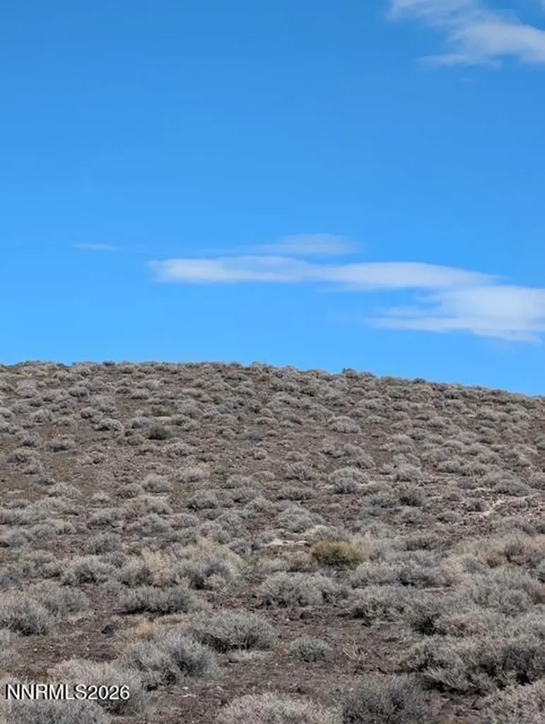 00 Gas Line Fernley NV 89408