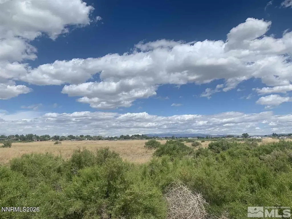 0 Harrigan Fallon NV 89406