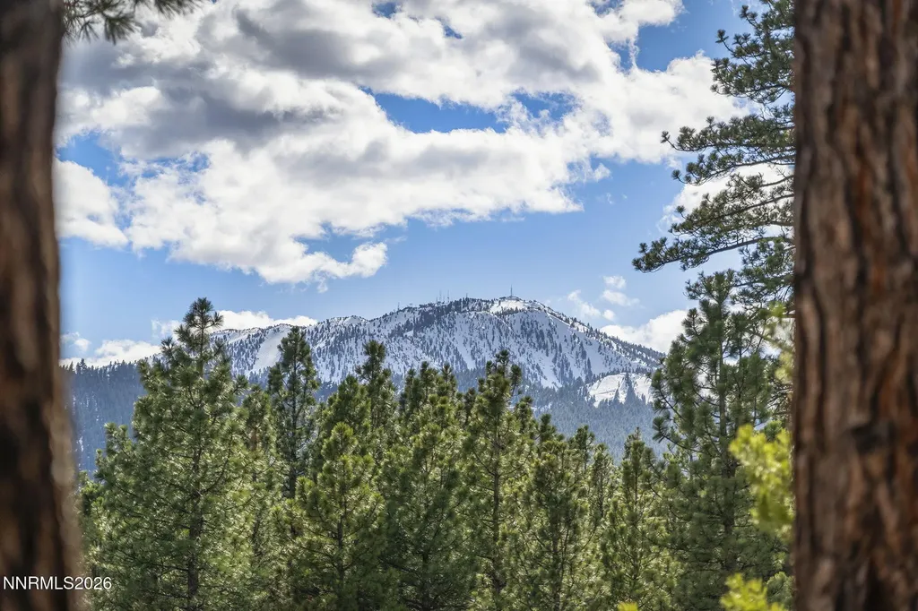 16911 Mt Rose Reno NV 89511