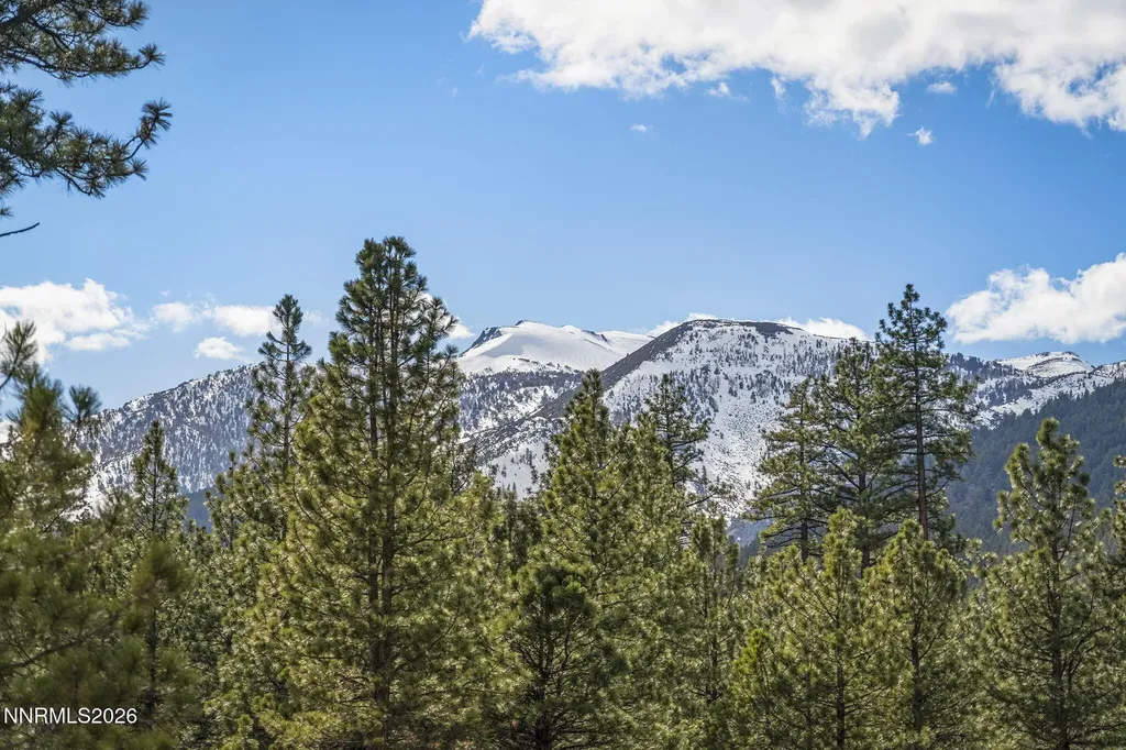 16911 Mt Rose Reno NV 89511