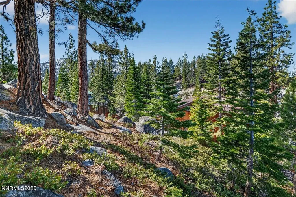 183 Tramway Stateline NV 89449