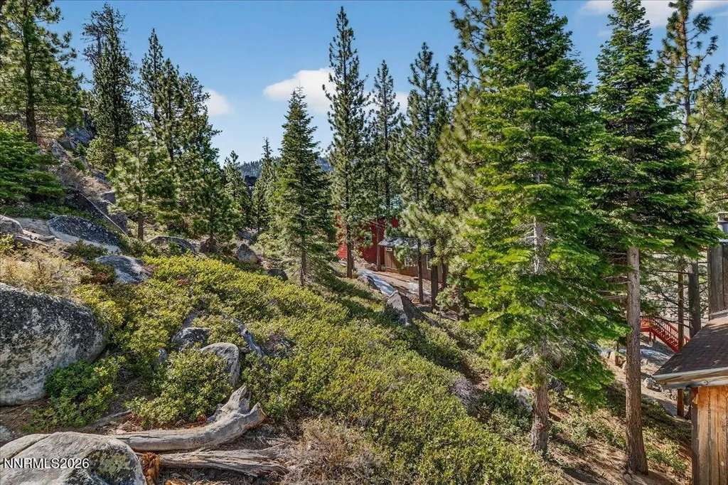 183 Tramway Stateline NV 89449