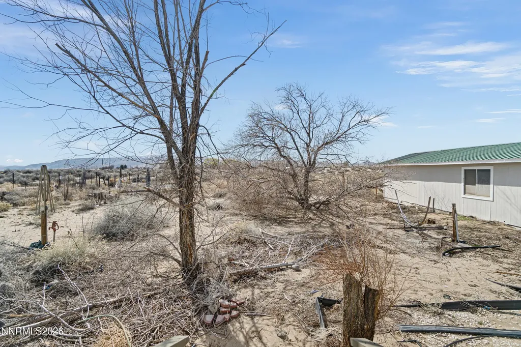 3095 Antelope Silver Springs NV 89429