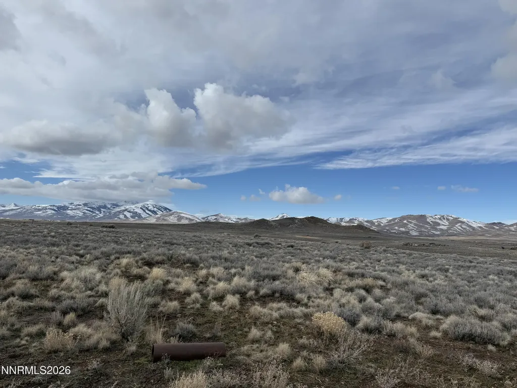 321 Silver Elko NV 89801